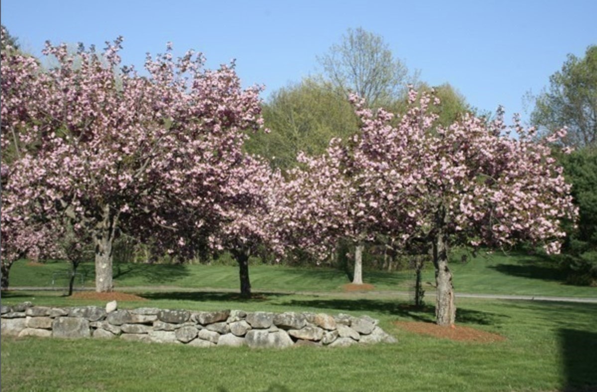 16 Bartkus Farm Property Photo 36