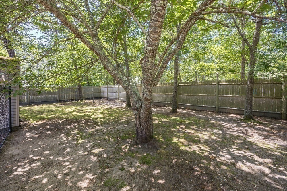 44 Squirrel Property Photo 38