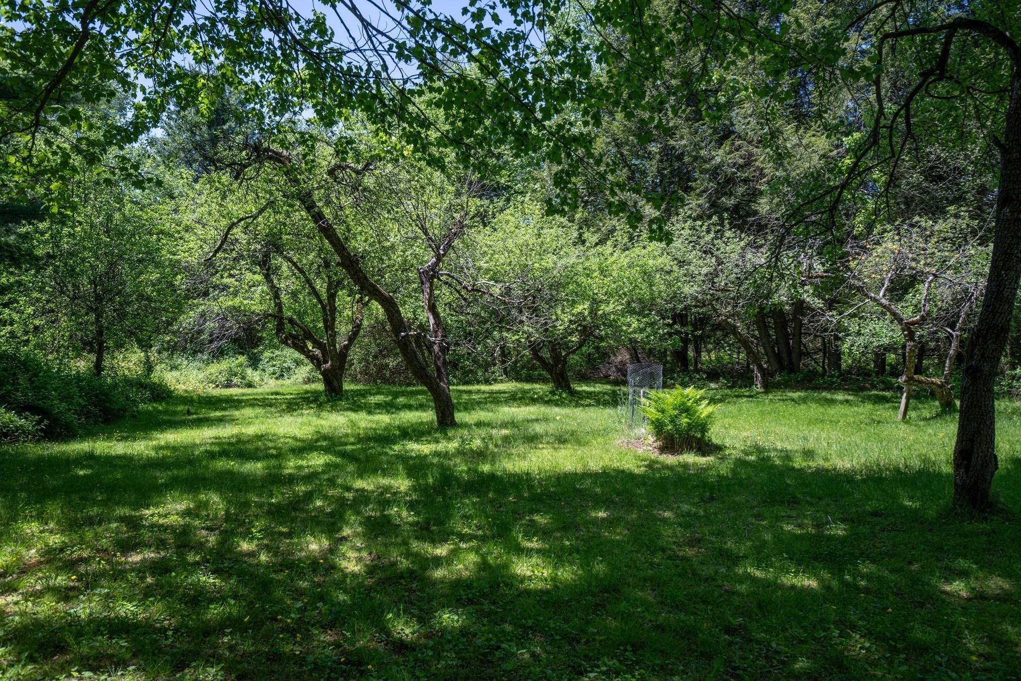 266 Turners Falls Rd Property Photo 32