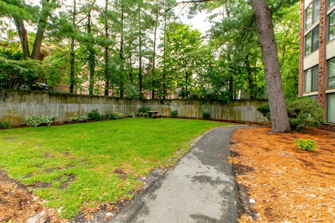 993 Massachusetts Ave # 206 Property Photo 24