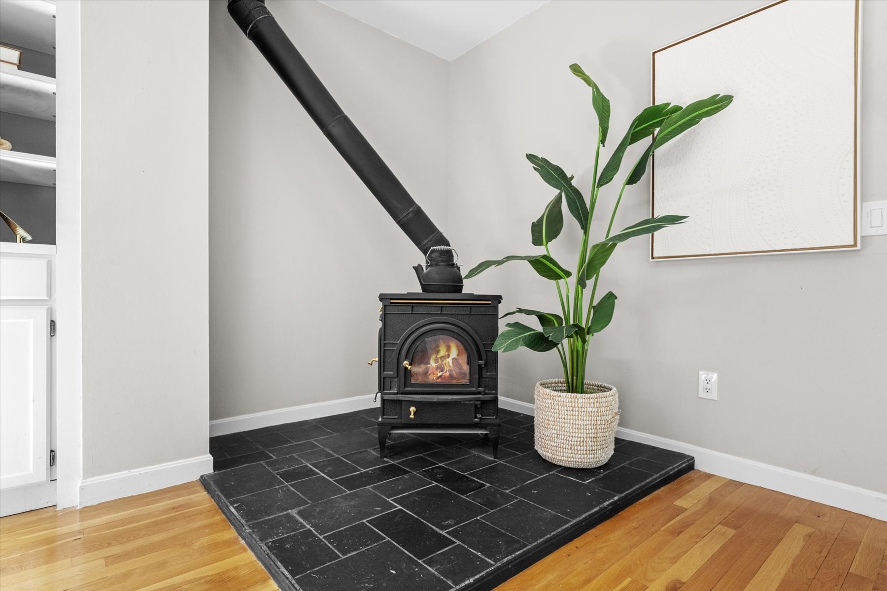 69 Myrtle St # 4 Property Photo 12