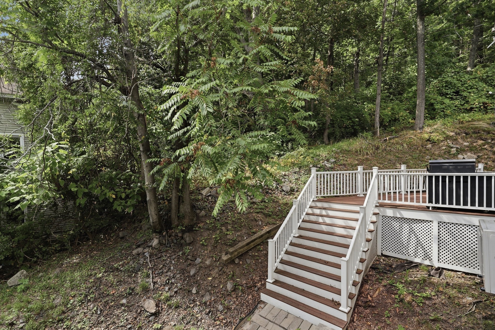 29-a Chilmark Street Property Photo 5
