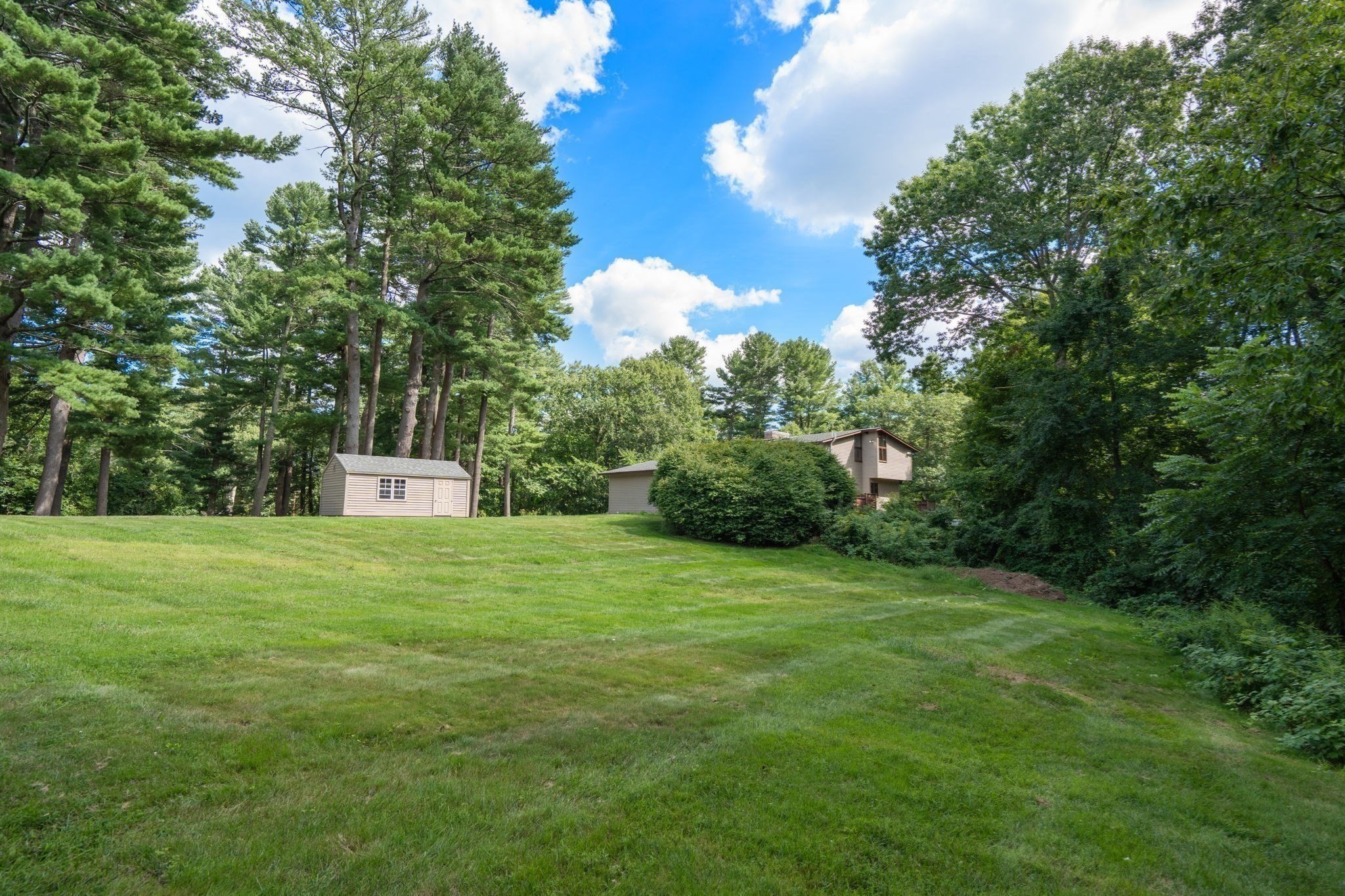 44 Vine Street Property Photo 26