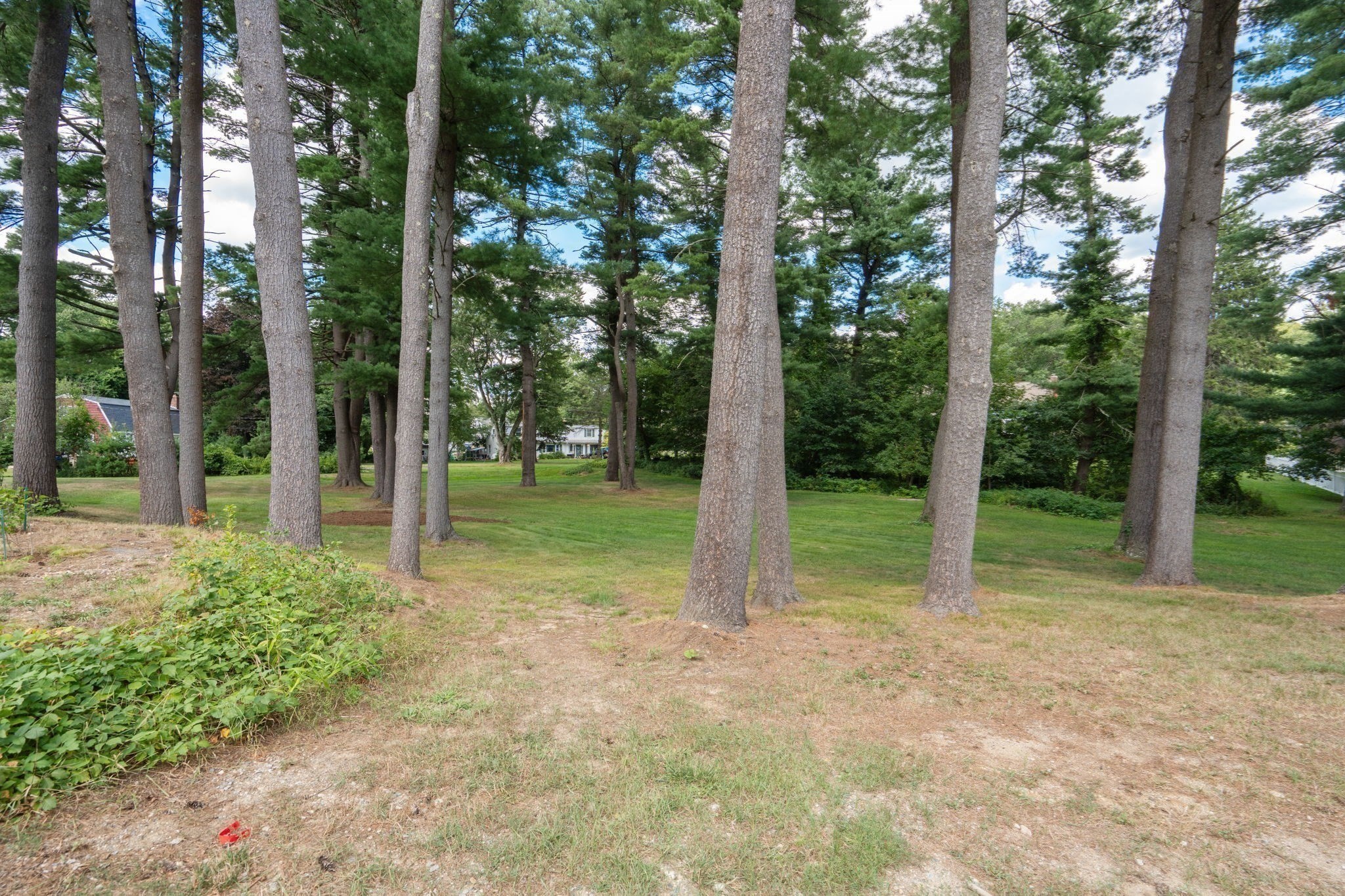44 Vine Street Property Photo 28
