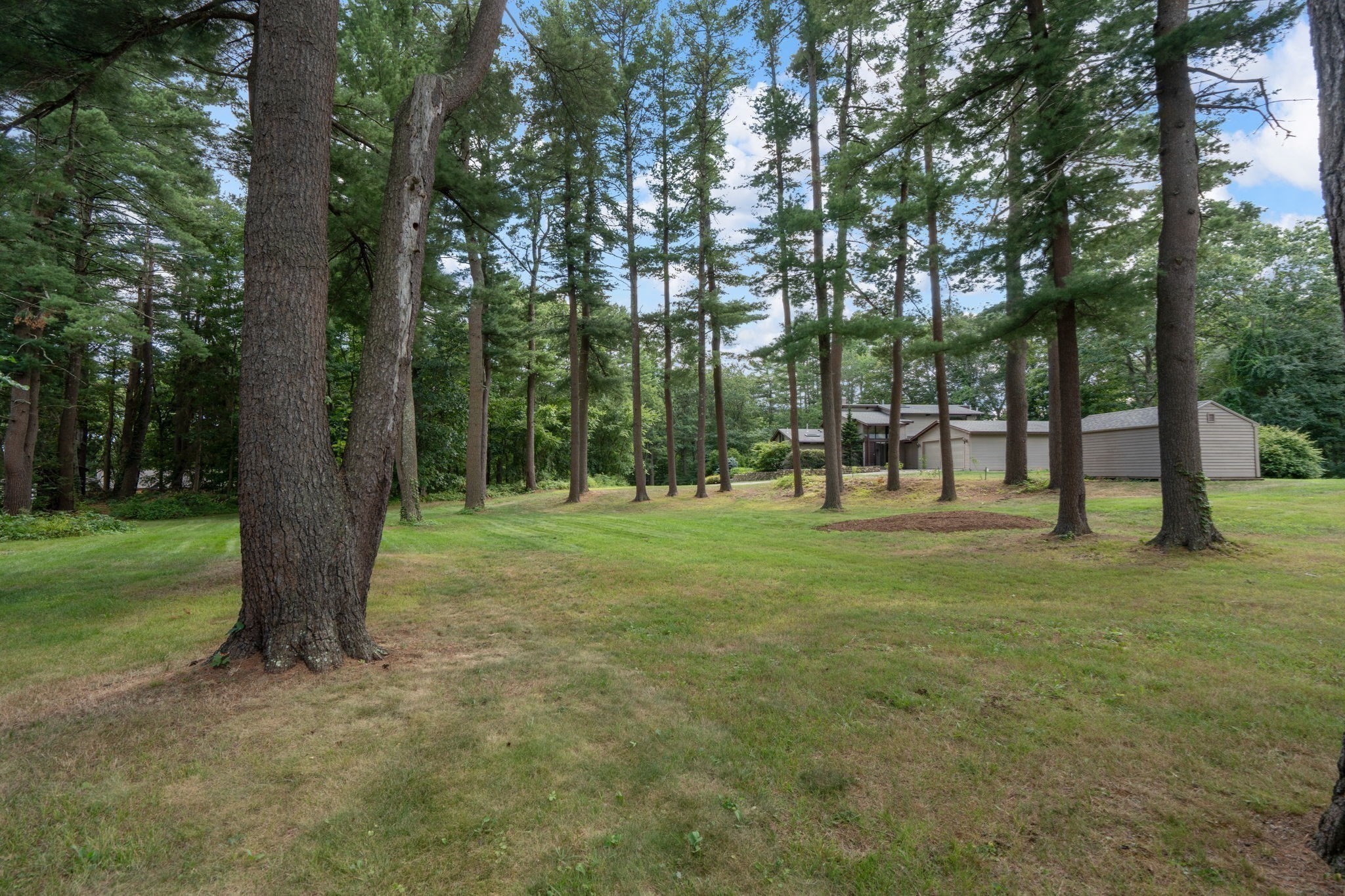 44 Vine Street Property Photo 29
