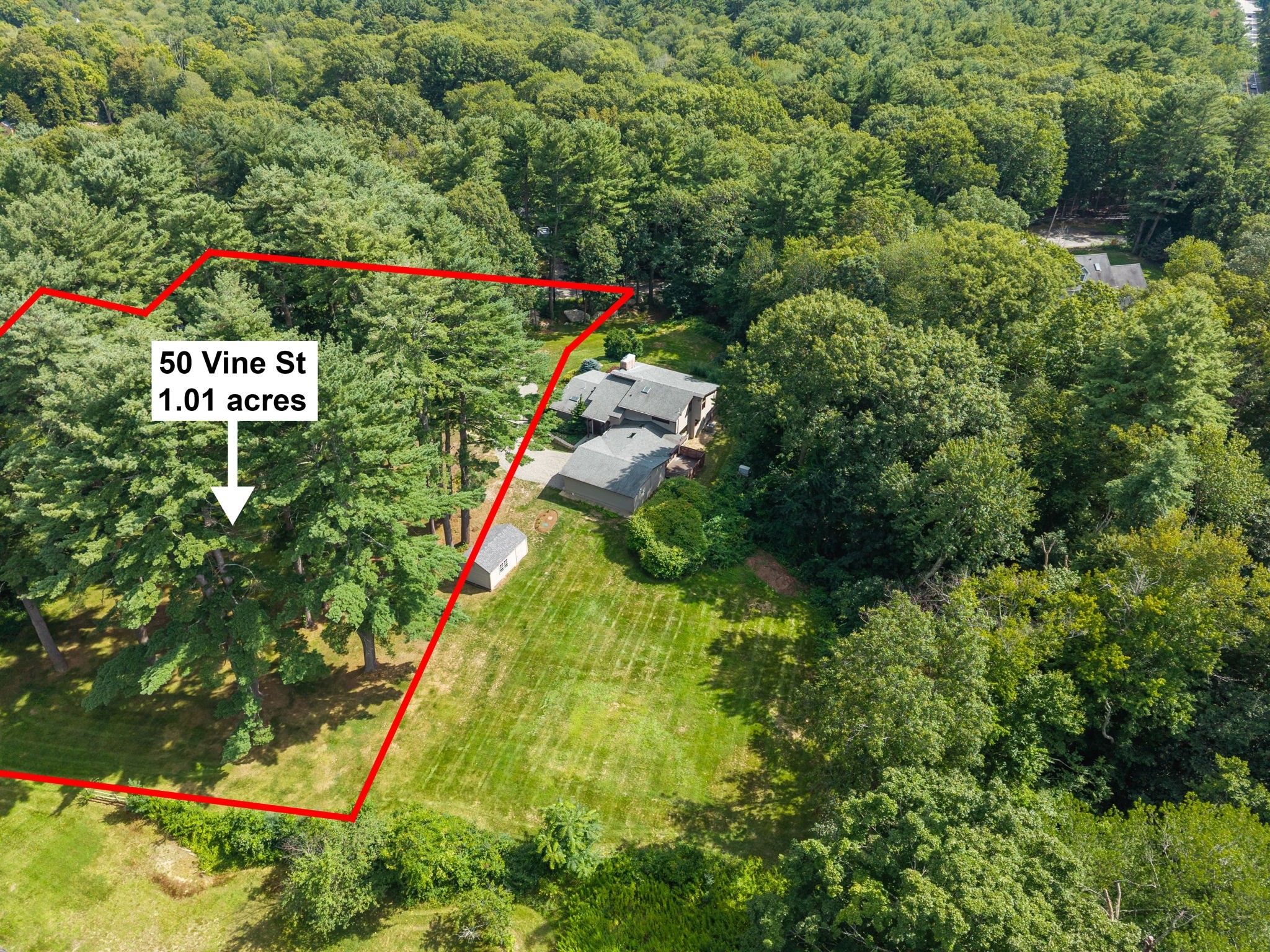 44 Vine Street Property Photo 40