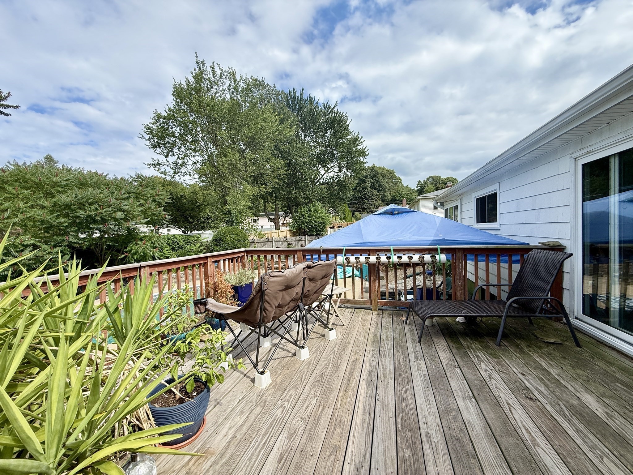 67 Briar Terrace Property Photo 9