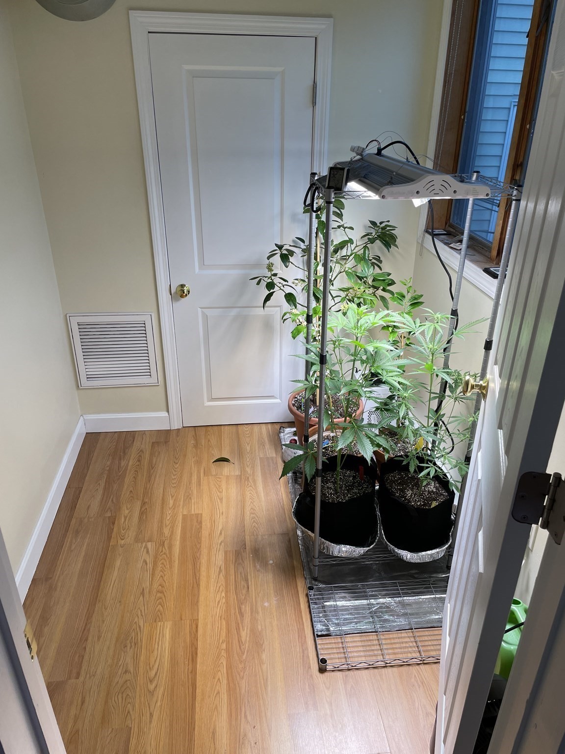 651 Bennington Street Property Photo 20