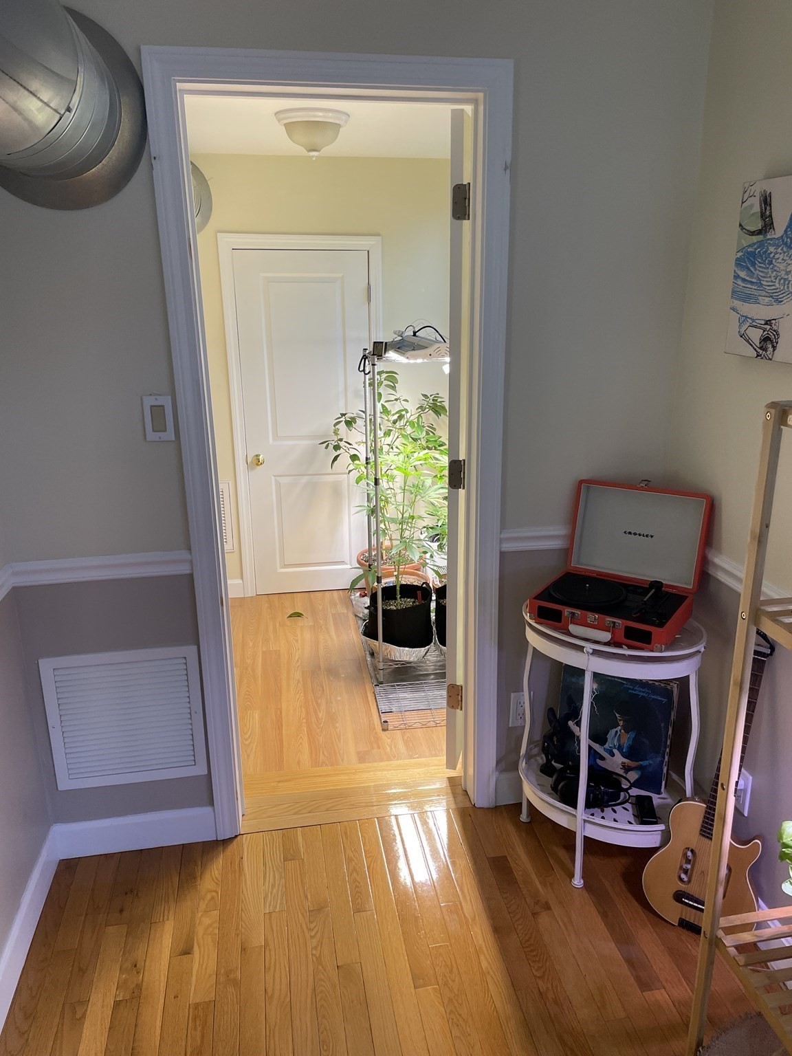 651 Bennington Street Property Photo 21