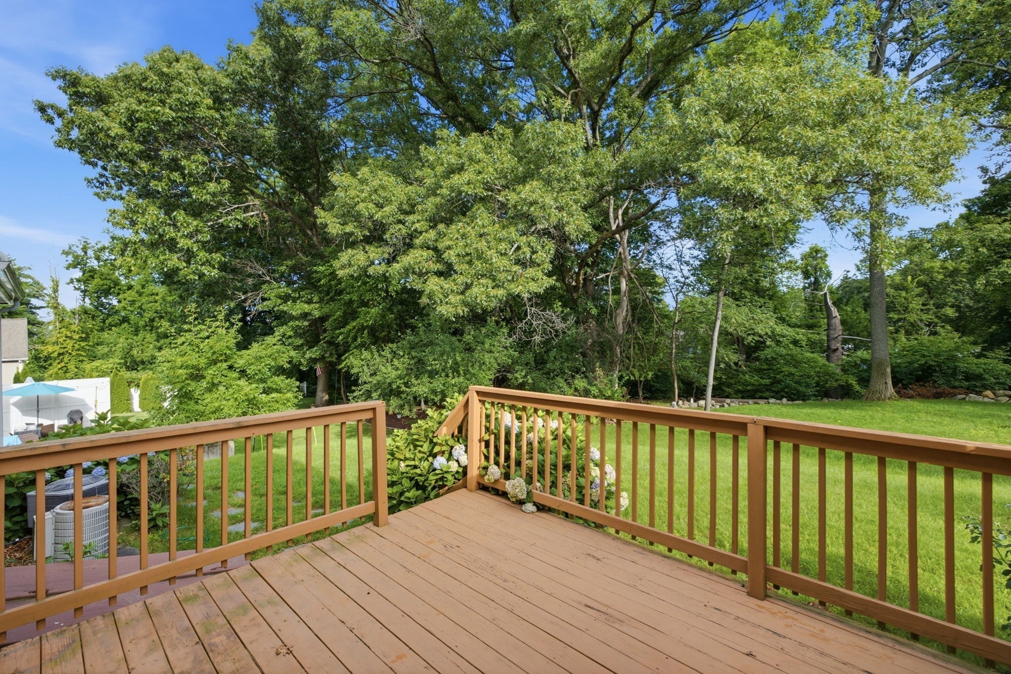 75 Cotuit St # 1 Property Photo 13