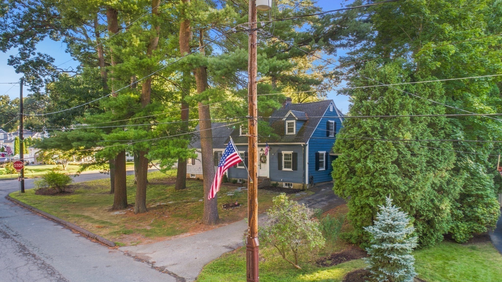 11 Homestead Road Property Photo 3