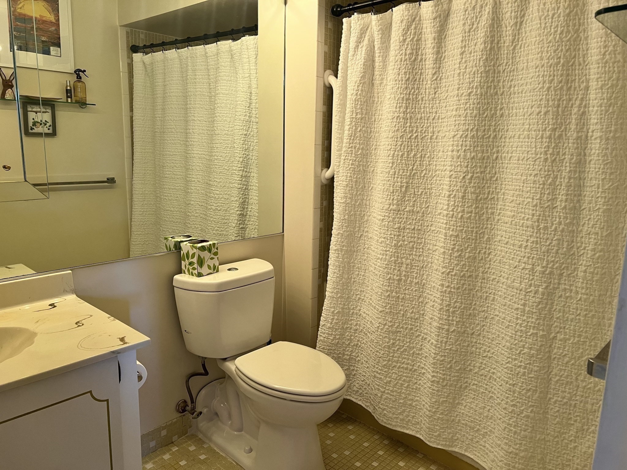 1008 Paradise Road Property Photo 20
