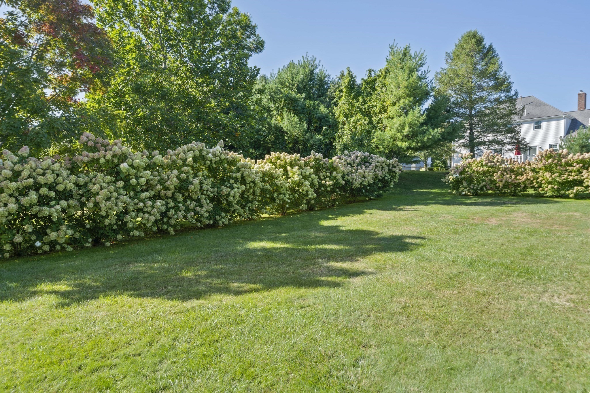 27 Sparrow Rd Property Photo 34