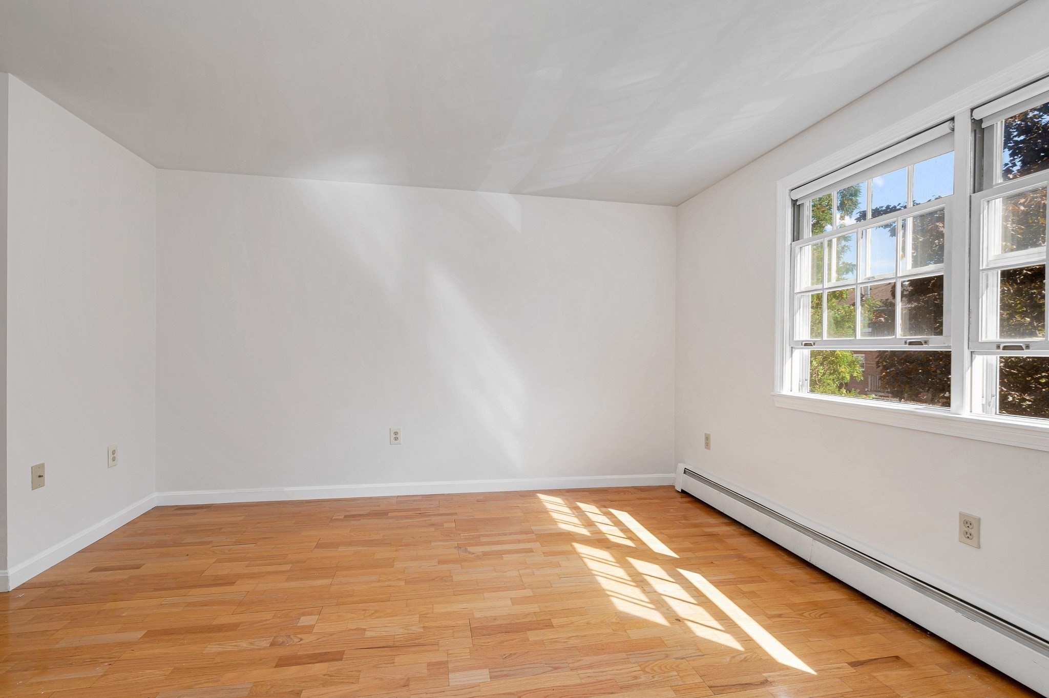 74 Roper St # F Property Photo 18