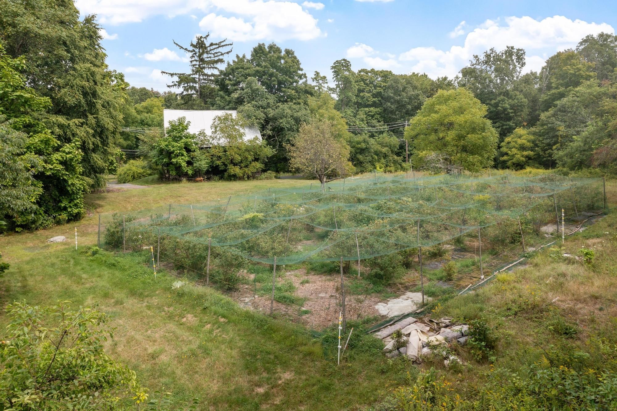 276 Middle Rd Property Photo 4