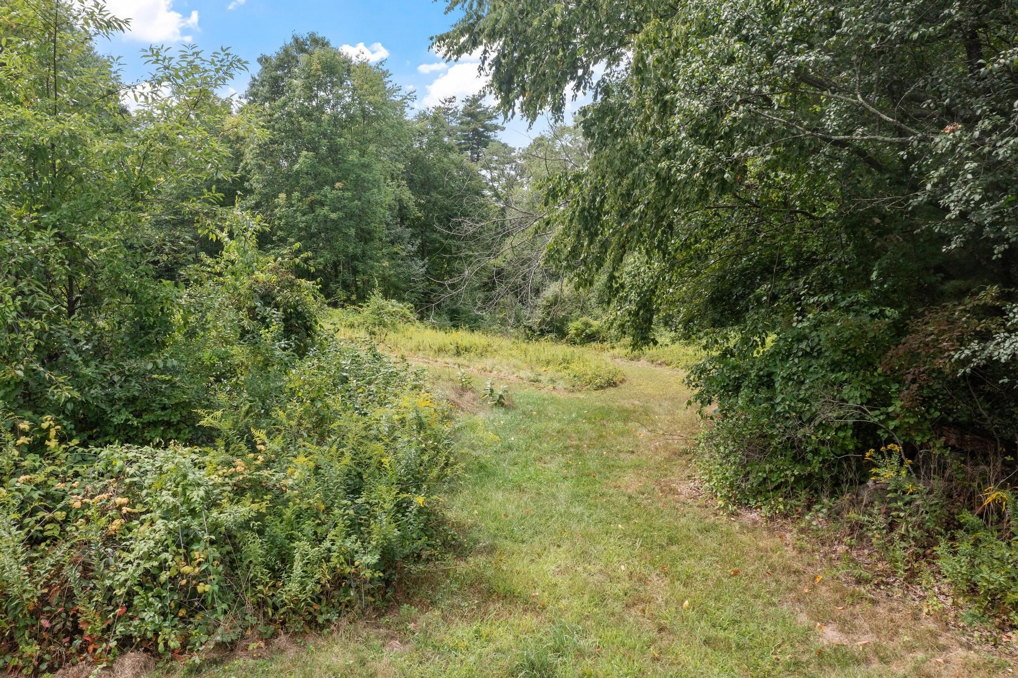 276 Middle Rd Property Photo 5