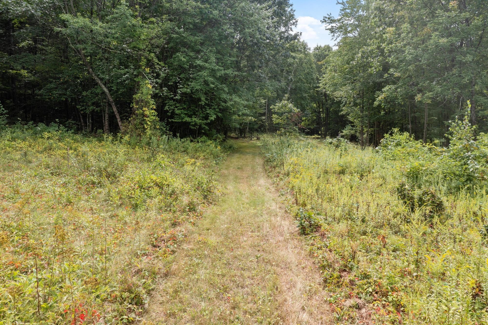 276 Middle Rd Property Photo 6