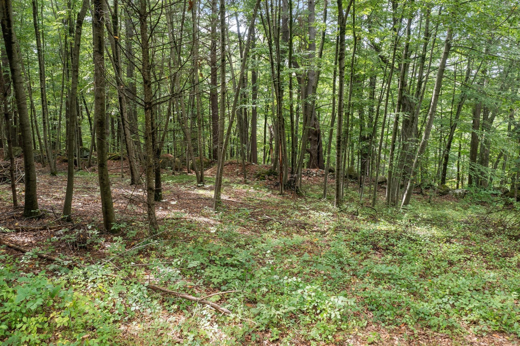 276 Middle Rd Property Photo 8