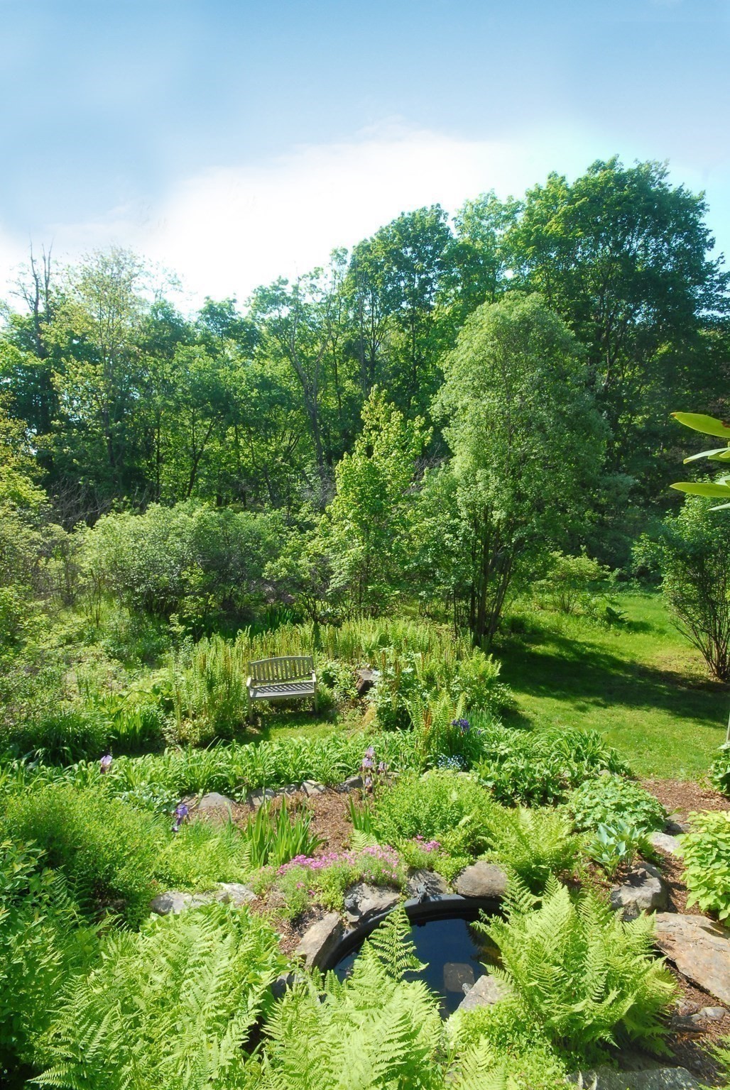 116 Martin Road Property Photo 34