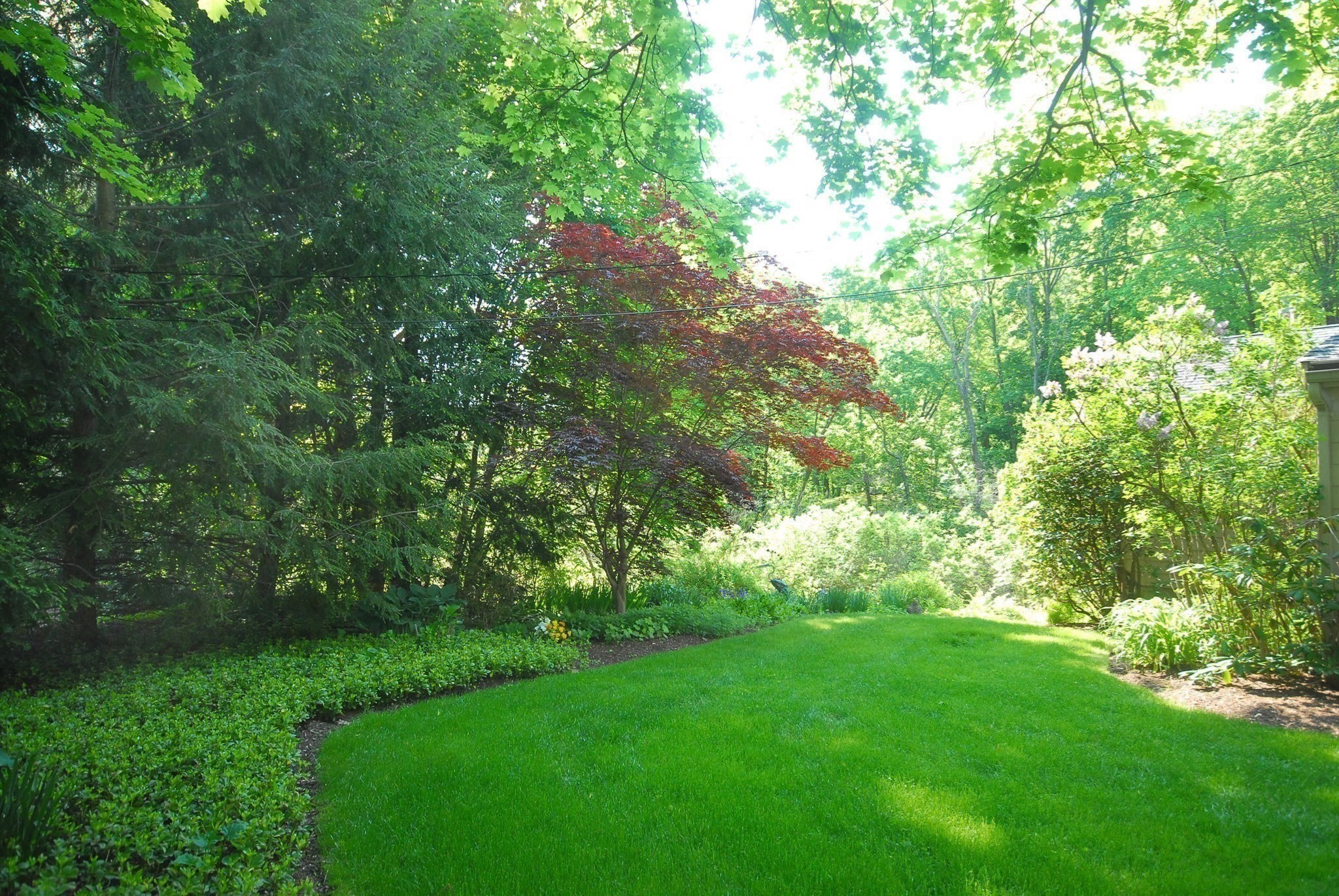 116 Martin Road Property Photo 38