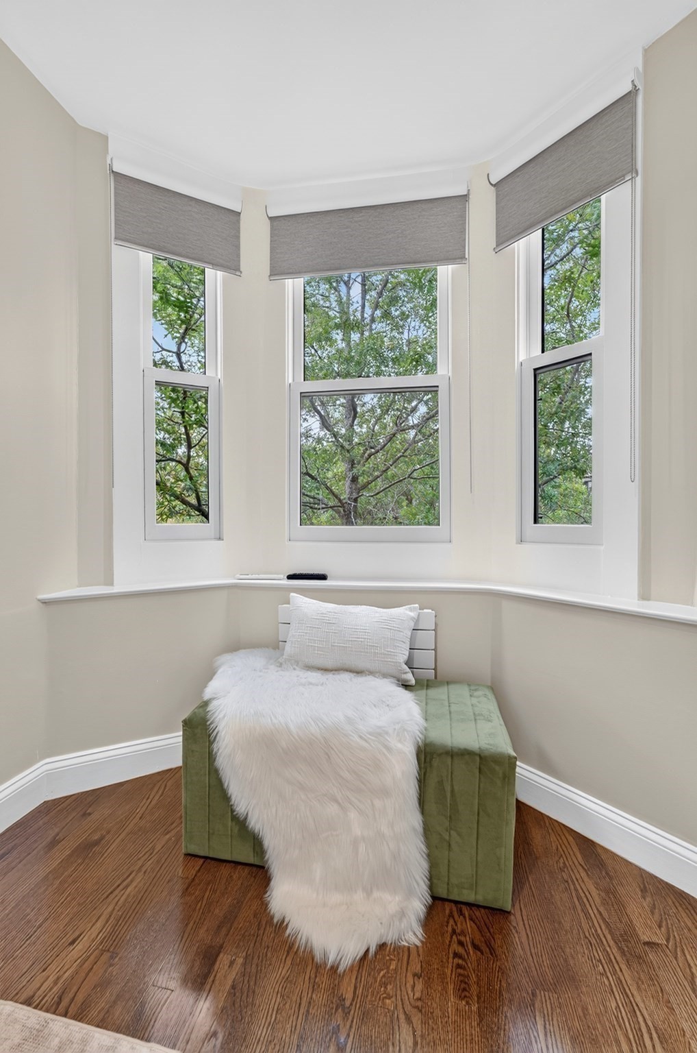 9 Holyoke Street # 4 Property Photo 30