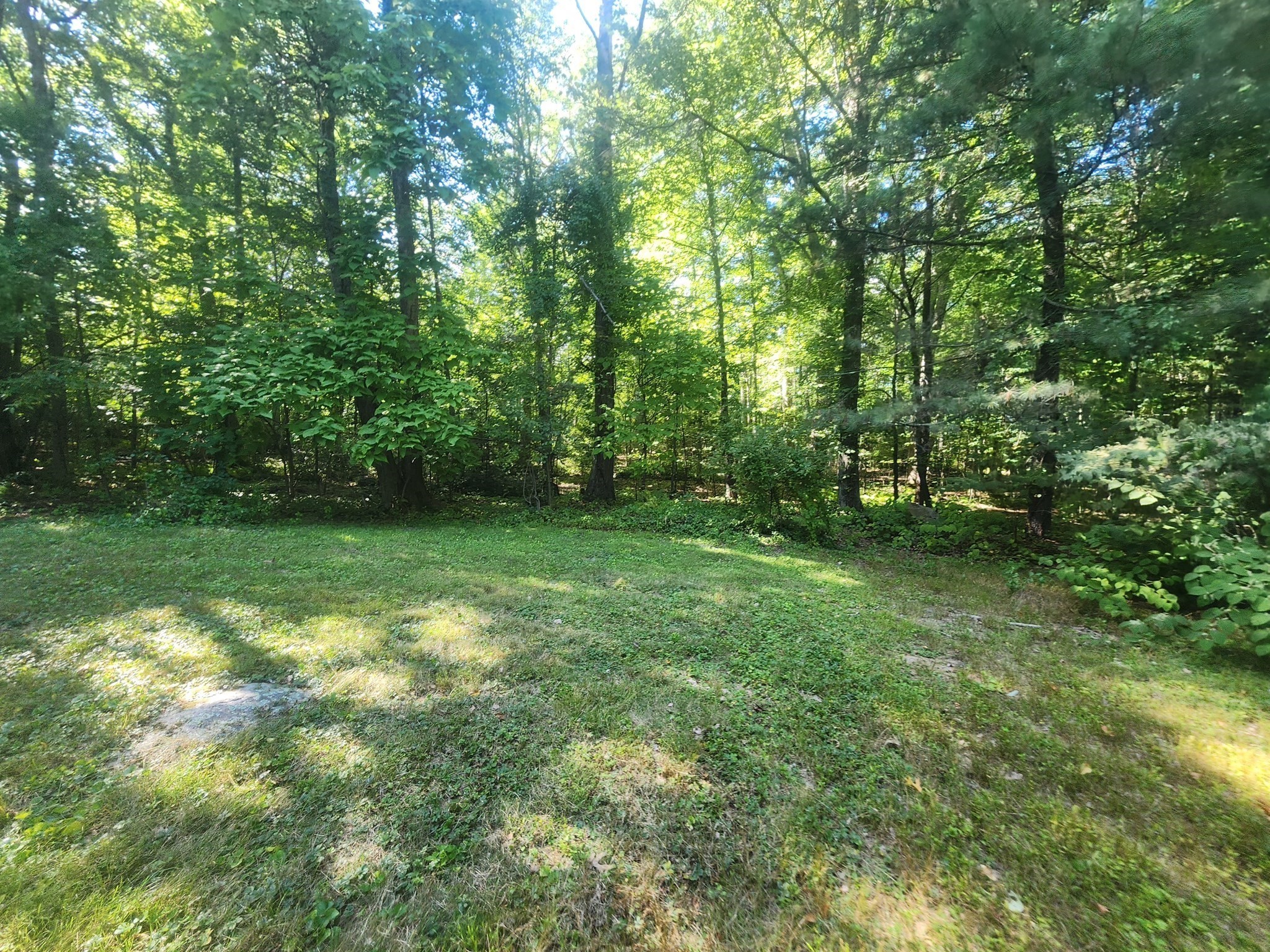 64 1/2 Wallace Avenue Property Photo 16