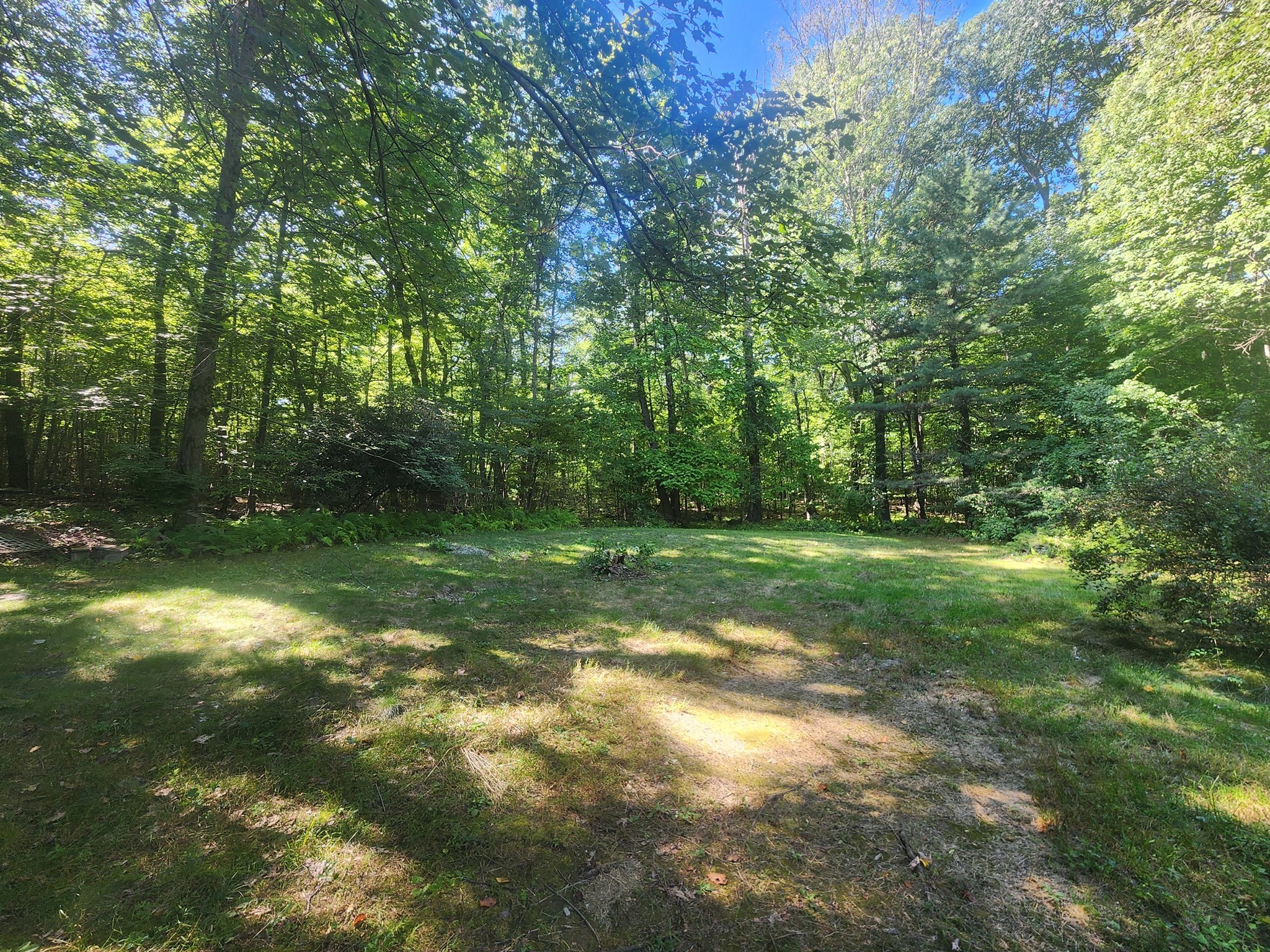 64 1/2 Wallace Avenue Property Photo 18
