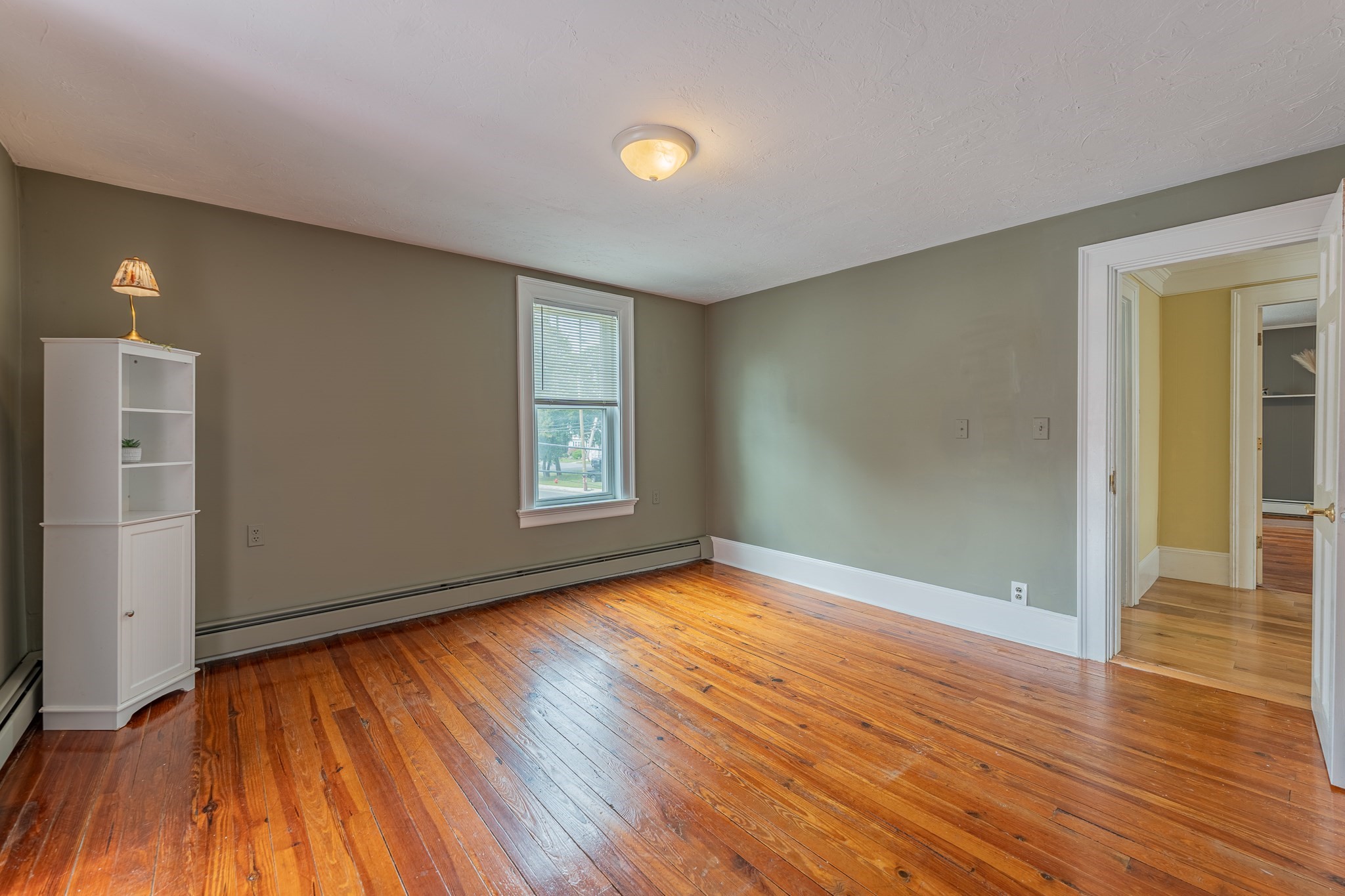 234 Pelham Street Property Photo 19
