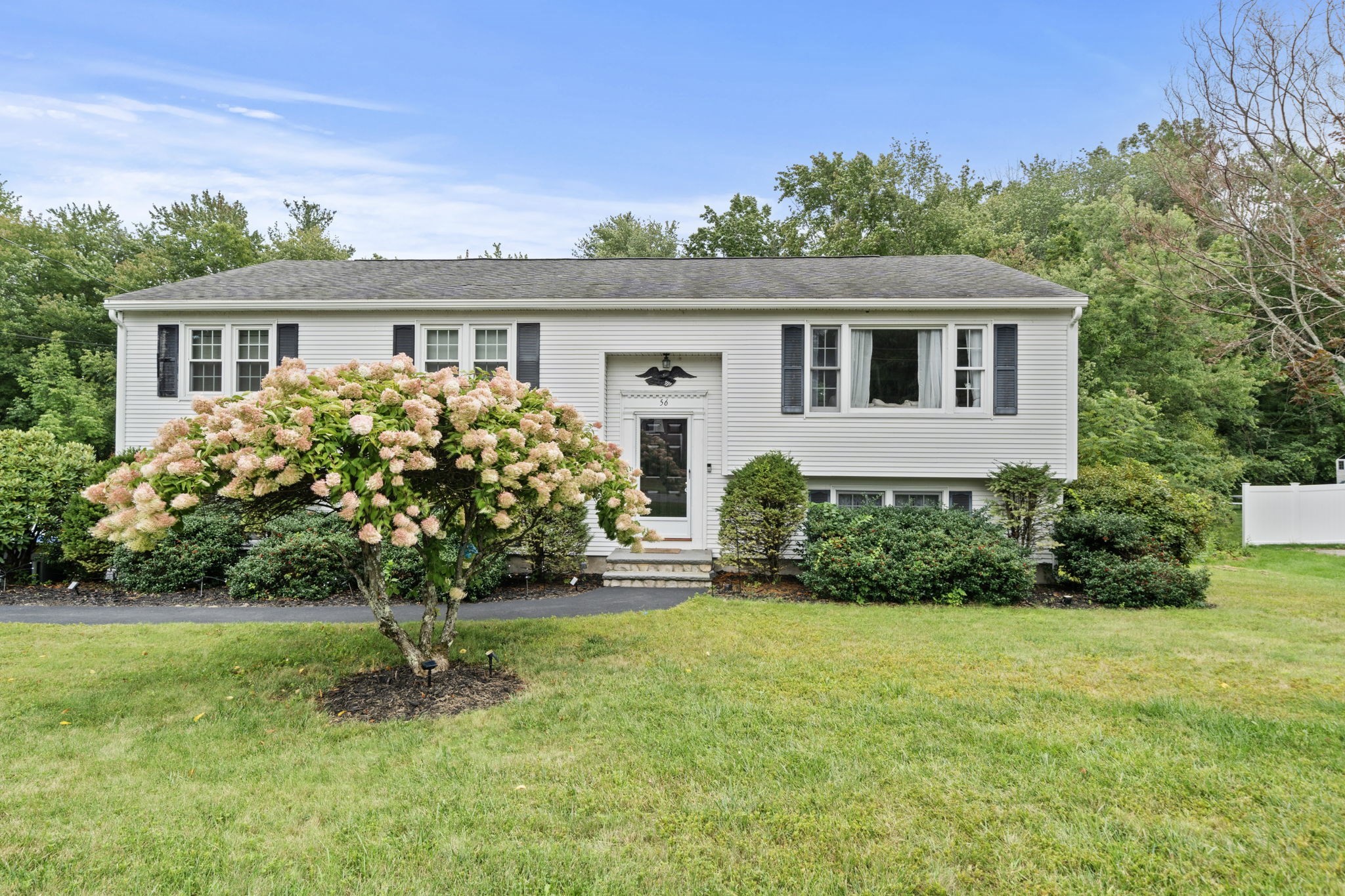 56 Sycamore Rd Property Photo 1