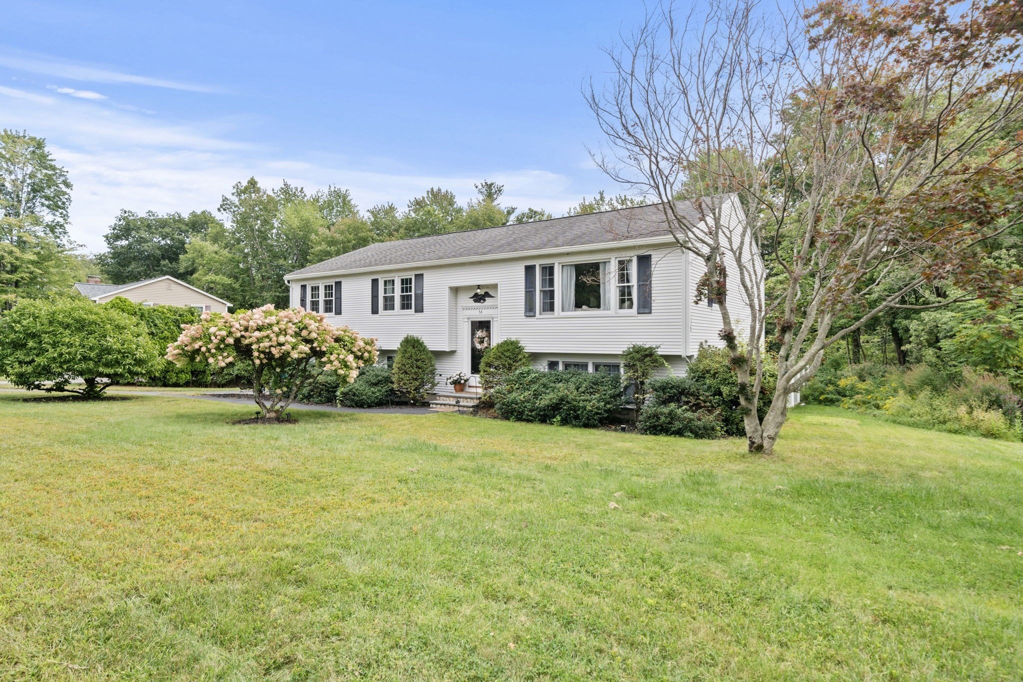 56 Sycamore Rd Property Photo 38