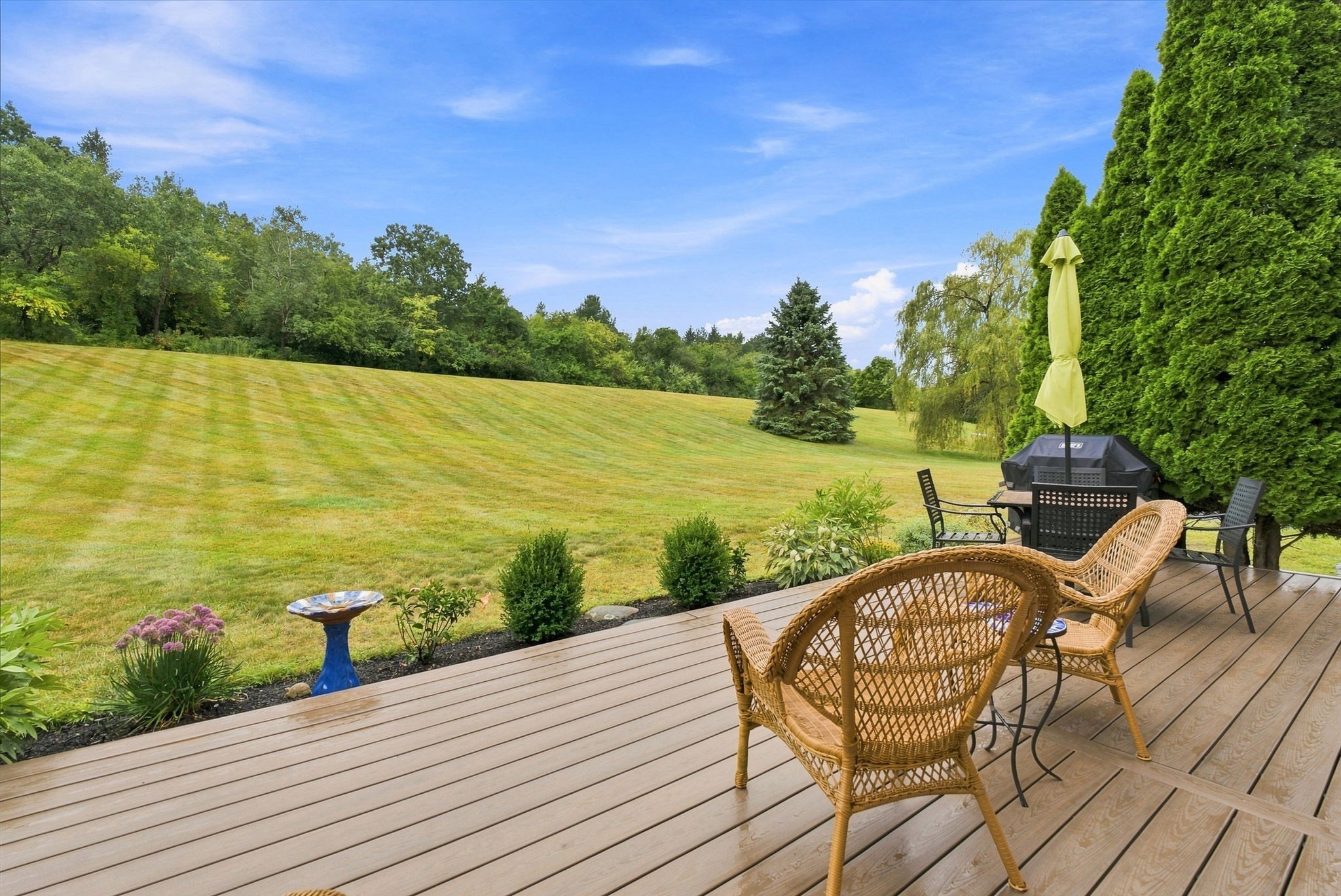 207 French Farm Rd Property Photo 35