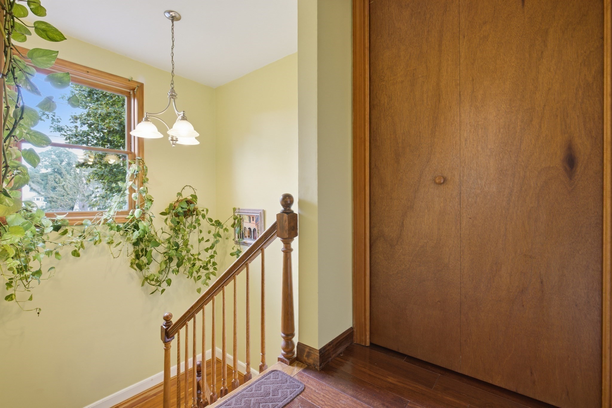 7 Gambier Street Property Photo 18