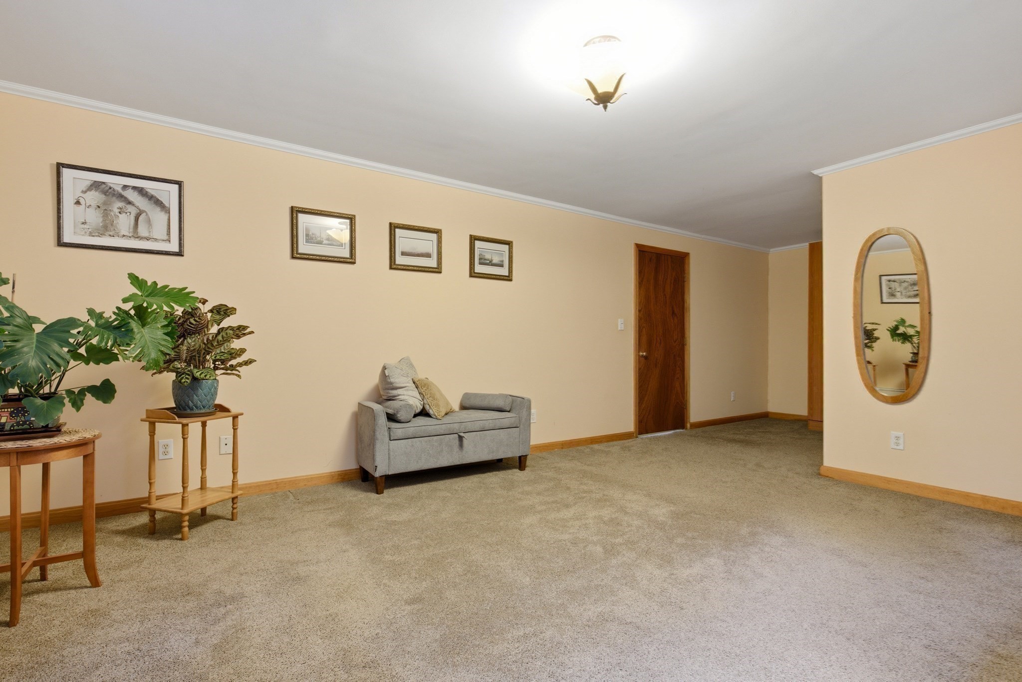 7 Gambier Street Property Photo 20