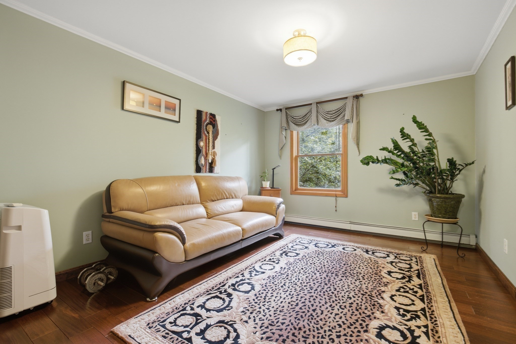 7 Gambier Street Property Photo 21