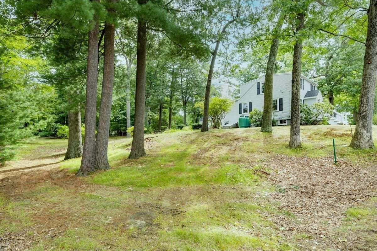39 Birch St Property Photo 40