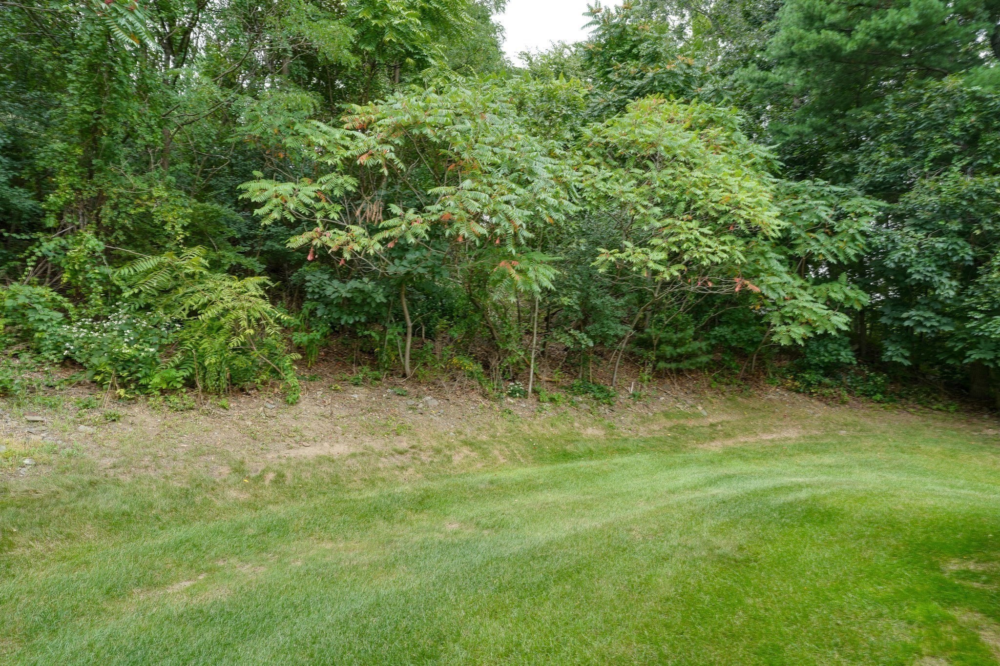 3 Greenside Ln Property Photo 21