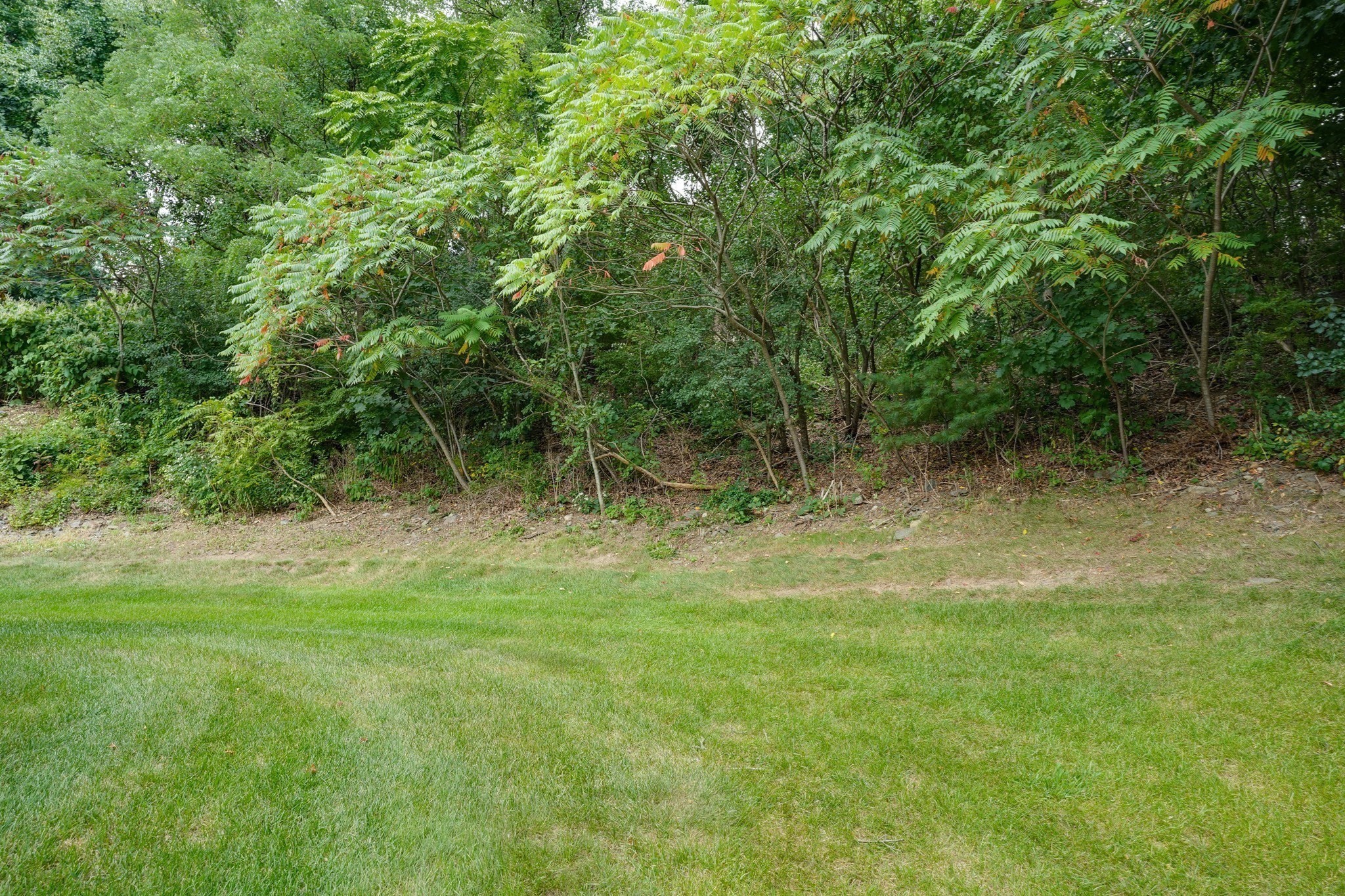 3 Greenside Ln Property Photo 22