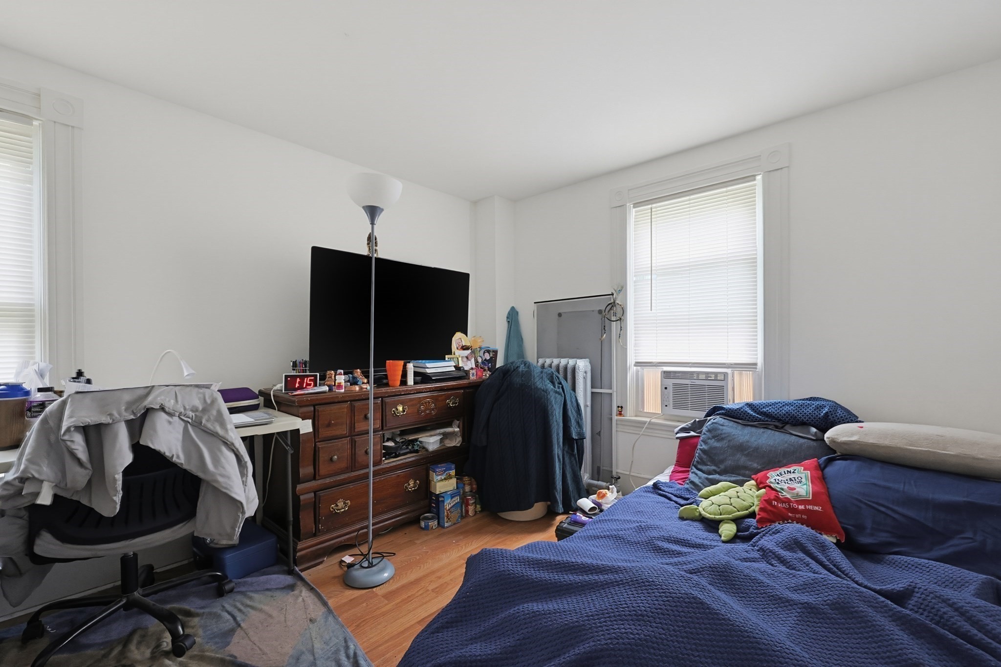 13 Campbell Ave Property Photo 16