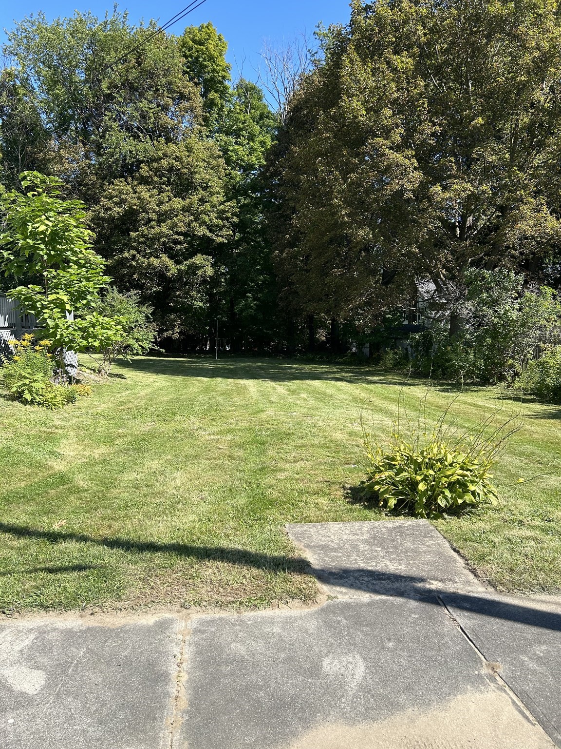 13 Campbell Ave Property Photo 32