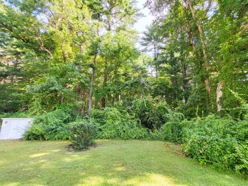 65 Beechwood Road Property Photo 13