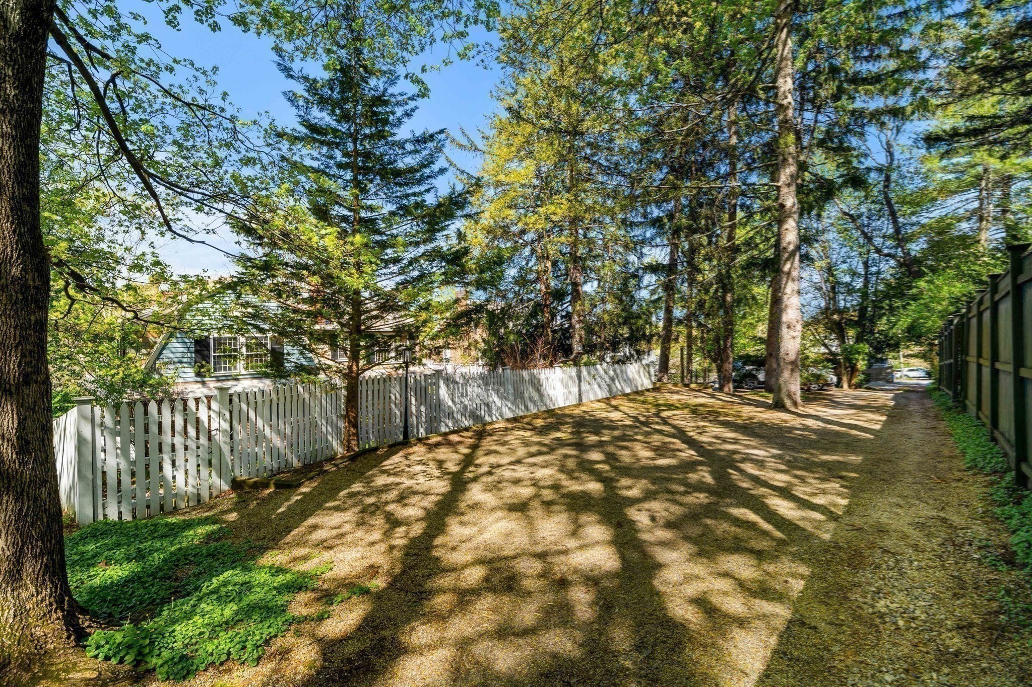 292 Pond Property Photo 39