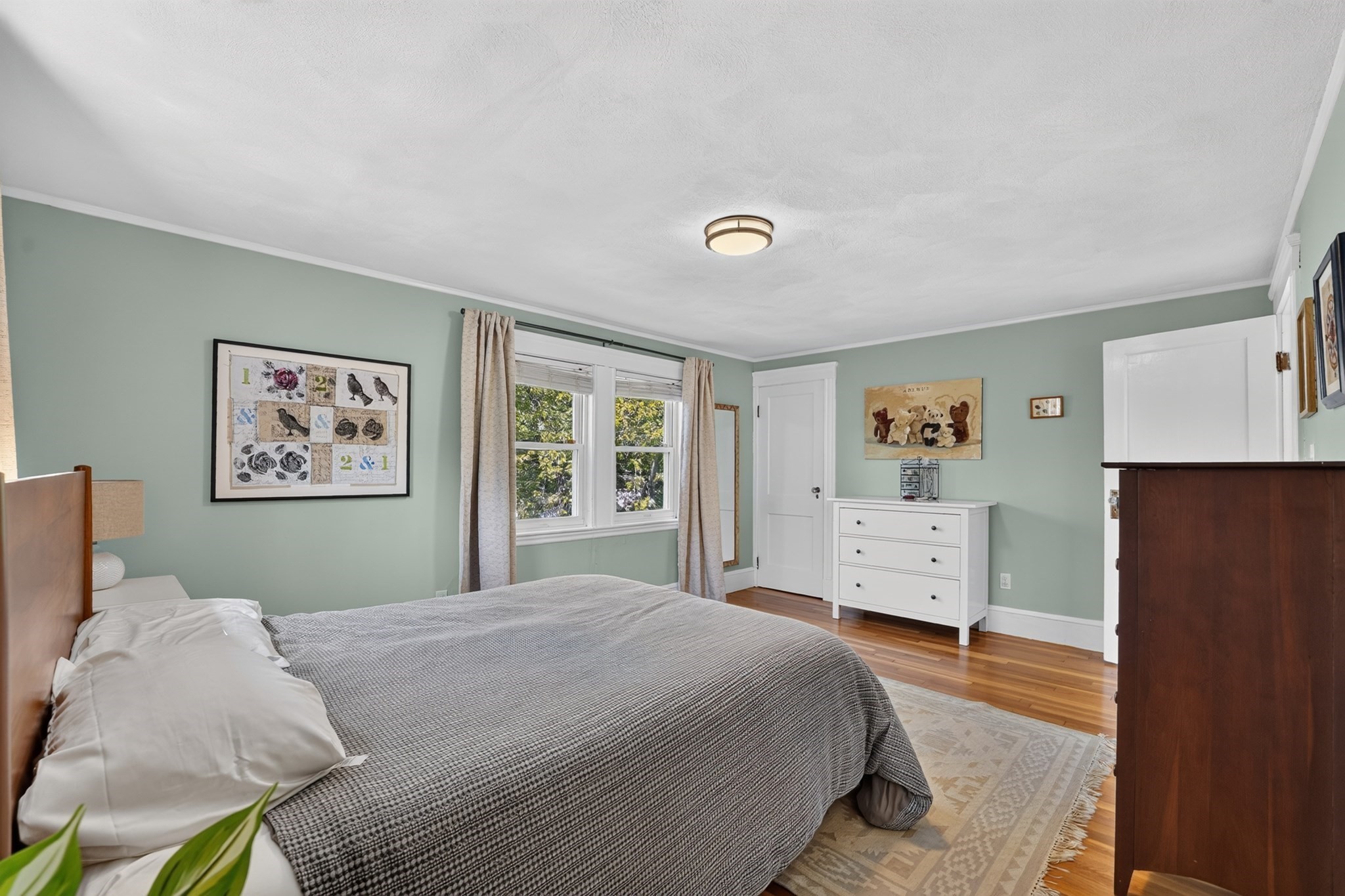 15 Draper St Property Photo 16