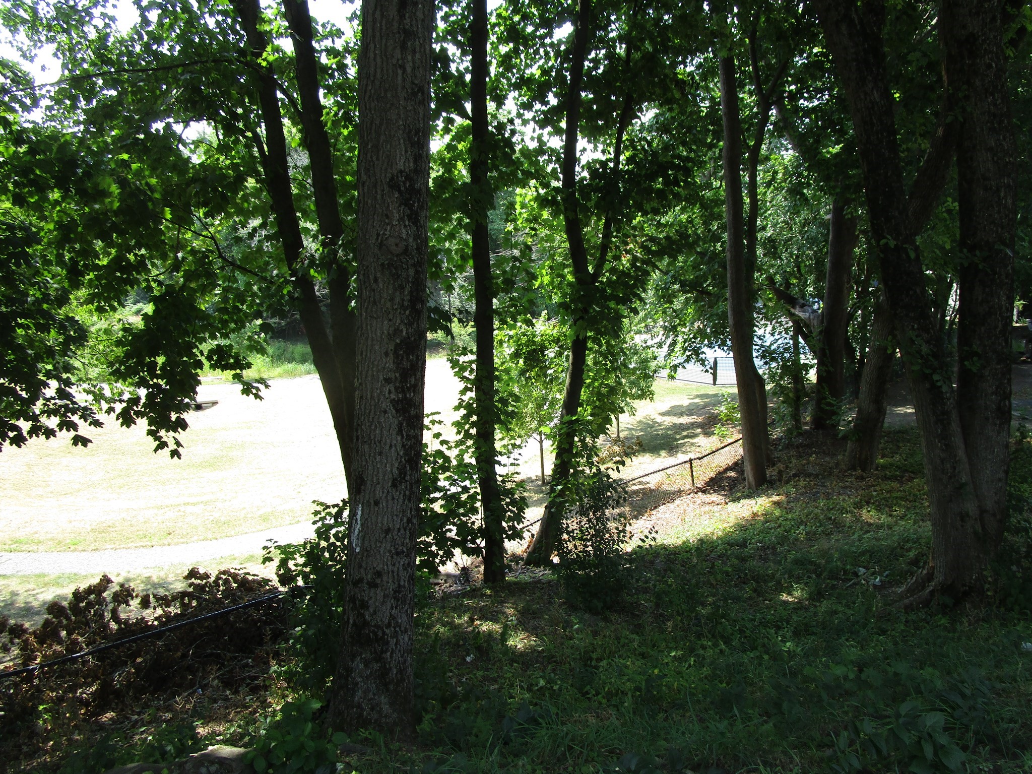 469 Bridge Street Property Photo 4