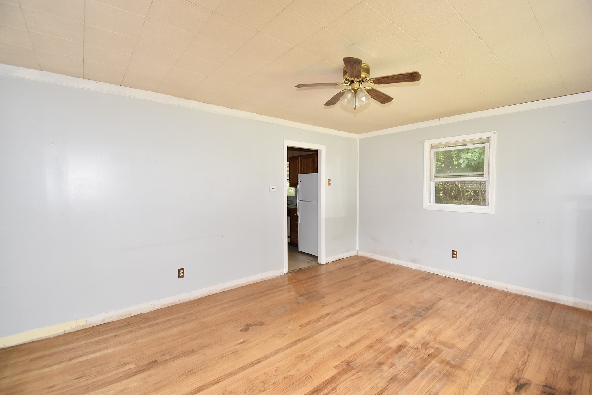 58 Cabot St Property Photo 17