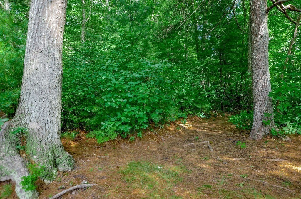 352 Marion Road Property Photo 28