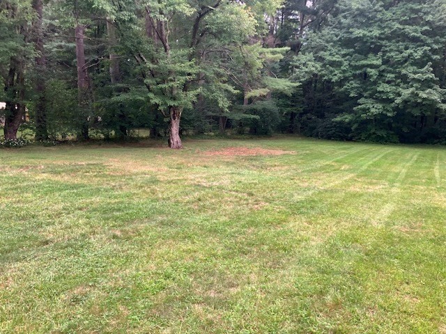 1076 Stony Hill Rd Property Photo 33
