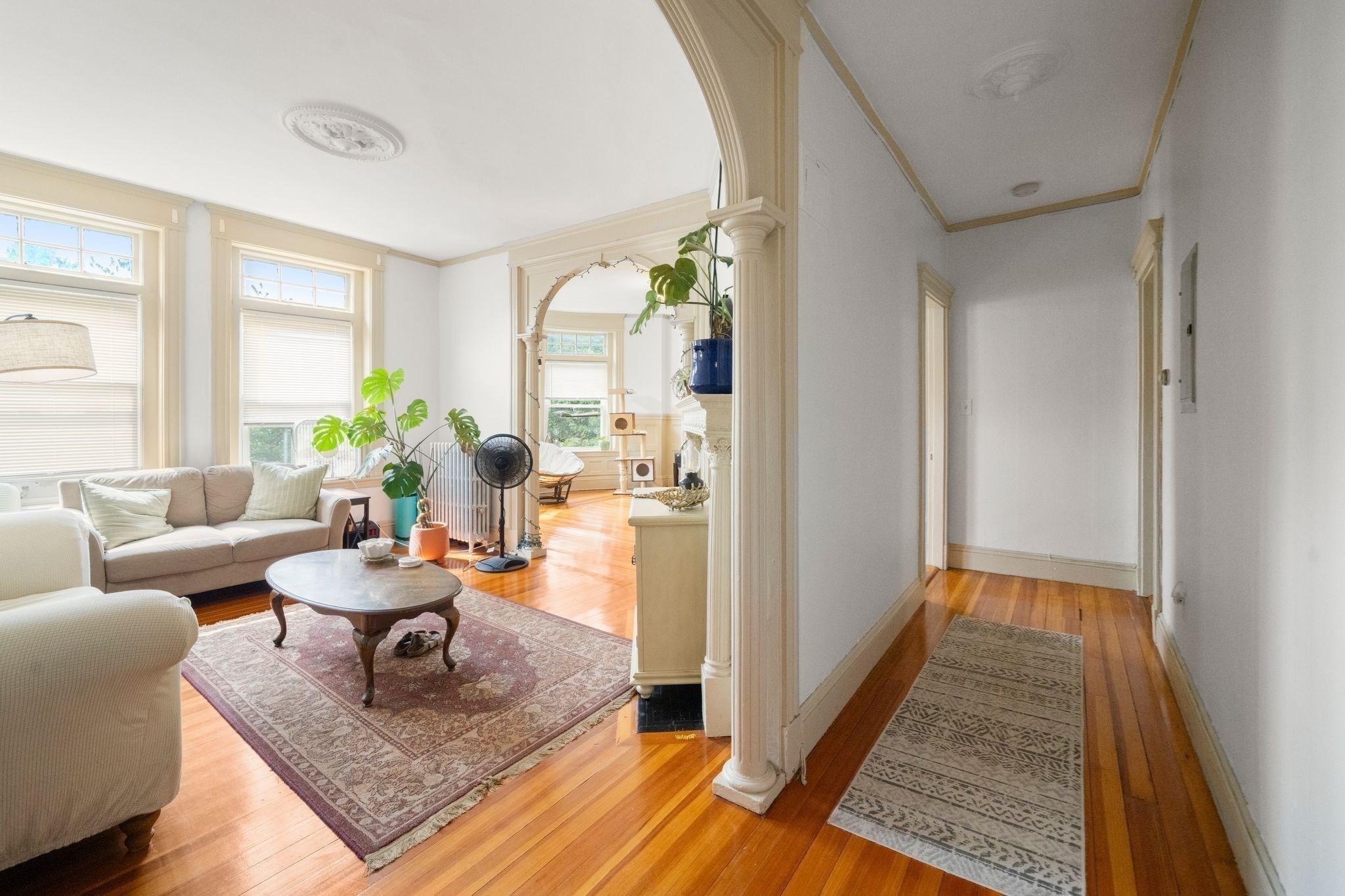 3 Strathmore Rd Property Photo 4