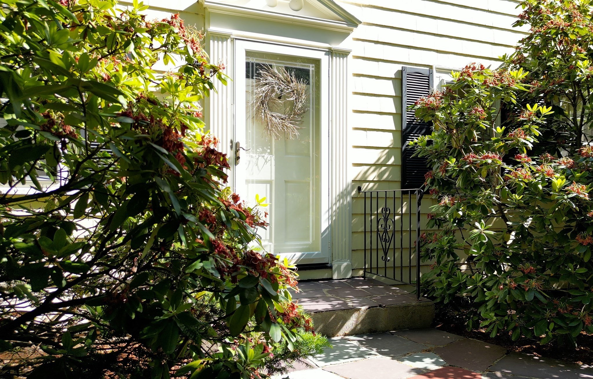 390 Marsh St Property Photo 1