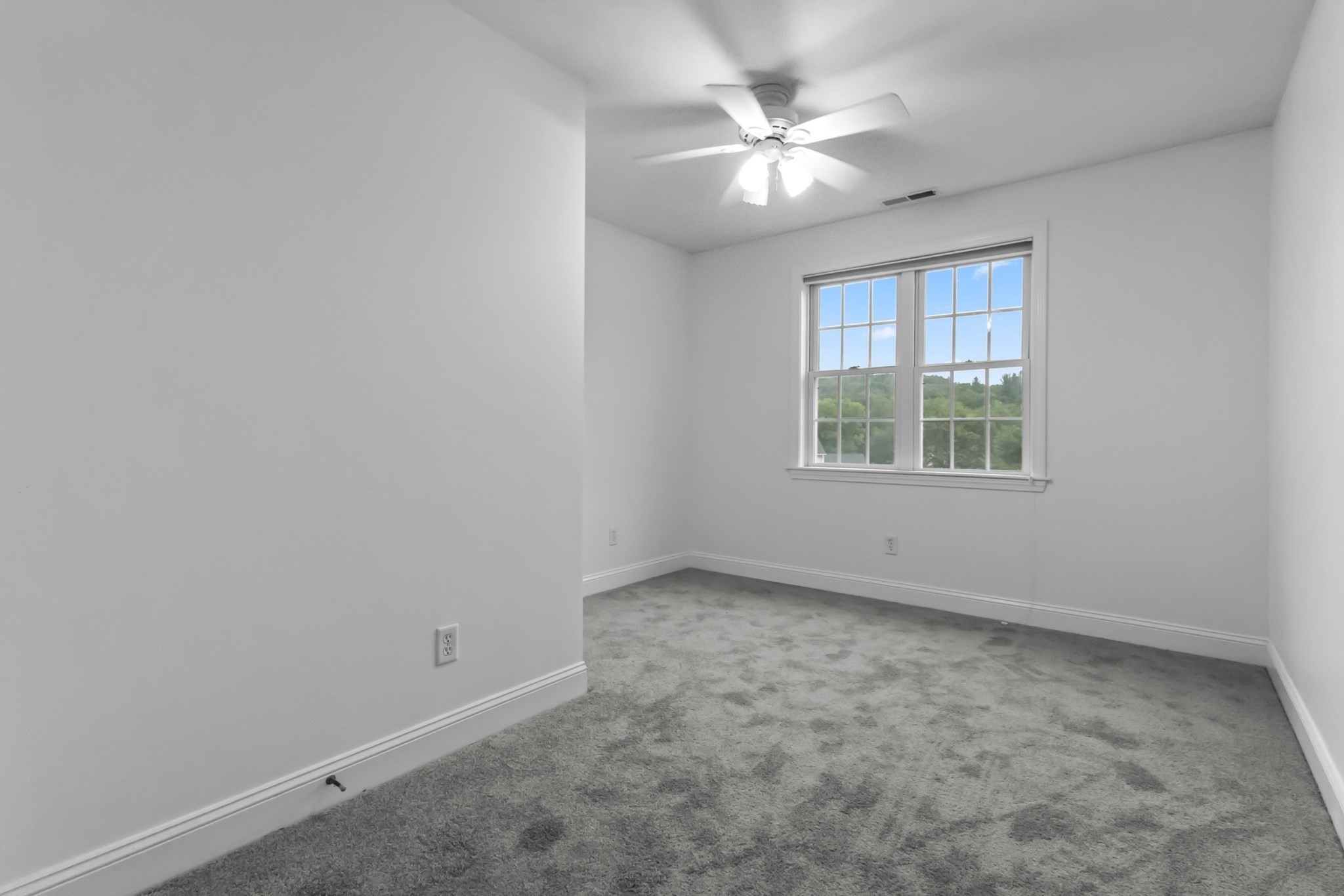 352 Grafton St Property Photo 27