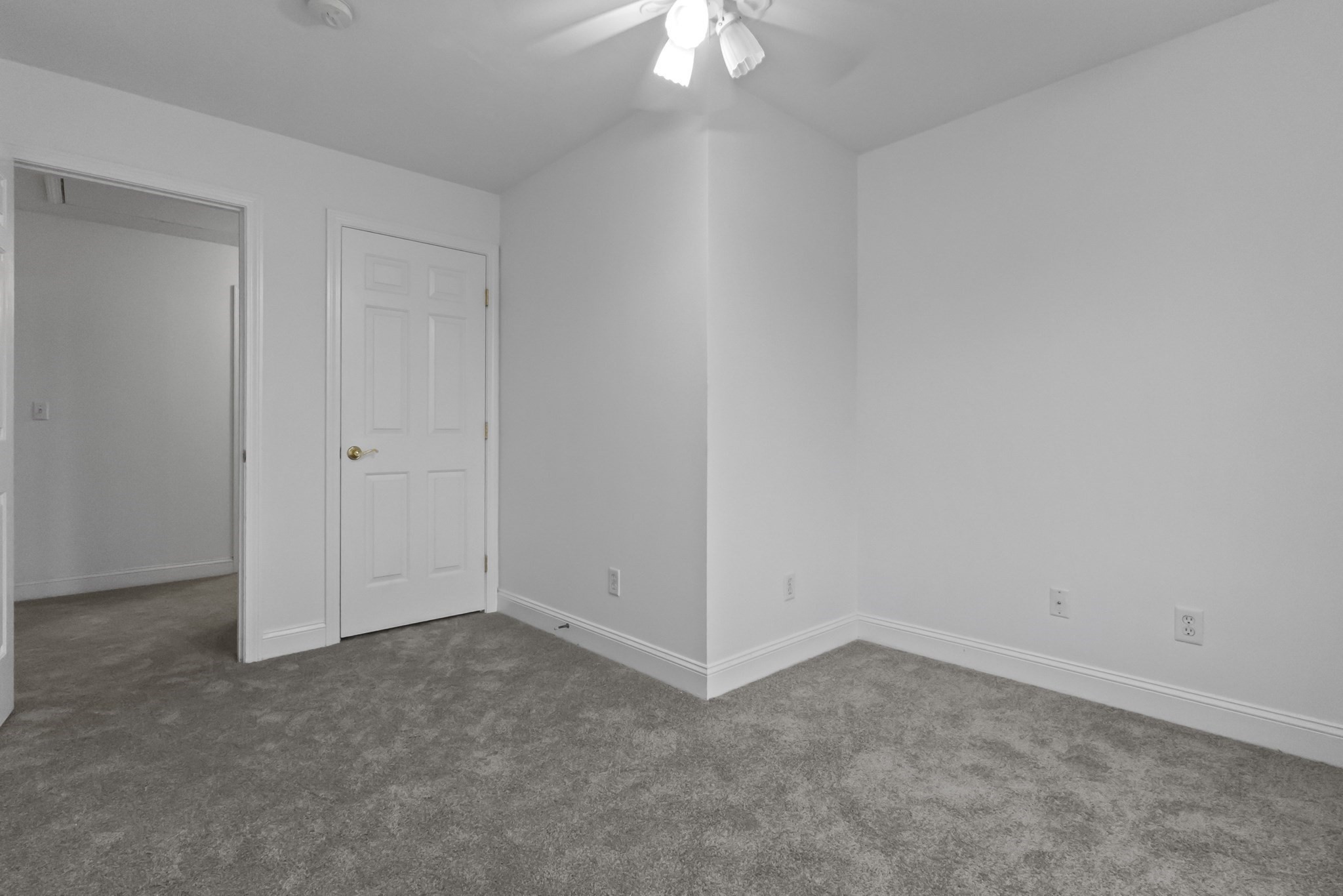 352 Grafton St Property Photo 28